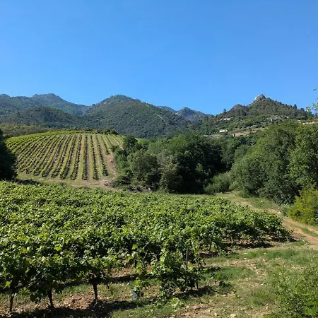 Petite Maison En Bord De Voie Verte Pres Du Caroux *